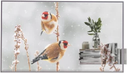 Панель LG 55" 55EW5P-M серебристый OLED LED 1ms 16:9 HDMI матовая 1100:1 400cd 178гр/178гр 1920x1080 DP FHD USB 13.9кг