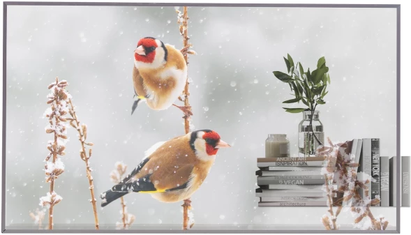 Панель LG 55&amp;quot; 55EW5P-M серебристый OLED LED 1ms 16:9 HDMI матовая 1100:1 400cd 178гр/178гр 1920x1080 DP FHD USB 13.9кг