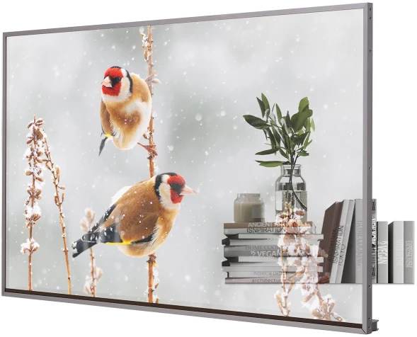 Панель LG 55&amp;quot; 55EW5P-M серебристый OLED LED 1ms 16:9 HDMI матовая 1100:1 400cd 178гр/178гр 1920x1080 DP FHD USB 13.9кг