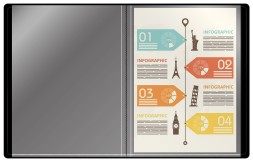 Папка с 100 прозр.вклад. Бюрократ DeLuxe DLVBOX100MILK A4 пластик 0.7мм молочный в коробе