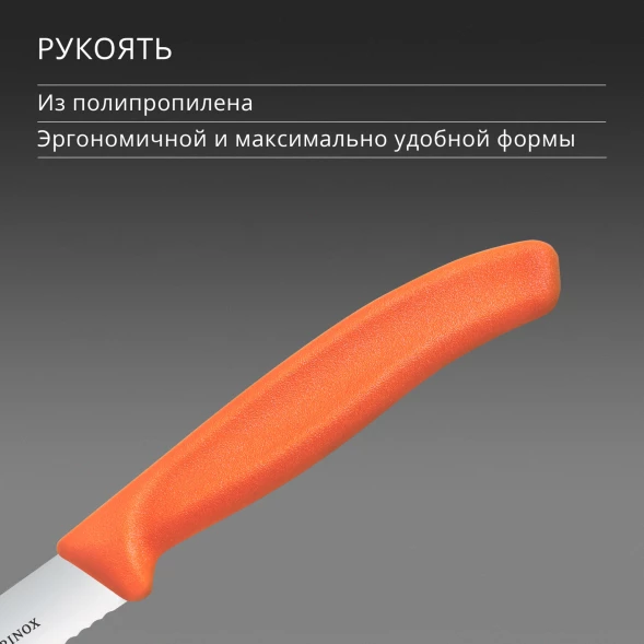 Нож кухонный Victorinox Swiss Classic (6.7739.C1) стальной универсальный для чистки овощей и фруктов лезв.100мм серрейт. заточка оранжевый