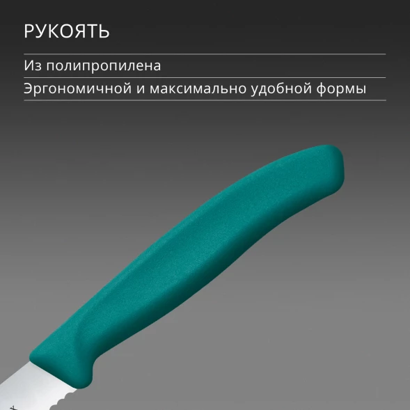 Нож кухонный Victorinox Swiss Classic (6.7834.C1) стальной столовый для томатов лезв.110мм серрейт. заточка зеленый