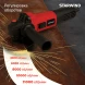 Углошлифовальная машина Starwind AG125E-1100 1100Вт 11000об/мин рез.шпин.:M14 d=125мм