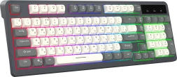 Клавиатура Оклик 731G серый/белый USB for gamer LED