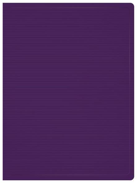 Папка с 80 прозр.вклад. Бюрократ DeLuxe DLVBOX80BBERRY A4 пластик 0.7мм черничный в коробе