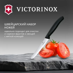 Набор ножей Victorinox Swiss Classic 6.7833.2 для овощей компл.:2предм. черный европодвес