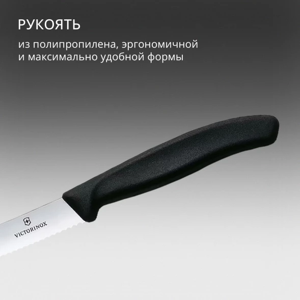 Набор ножей Victorinox Swiss Classic 6.7833.2 для овощей компл.:2предм. черный европодвес