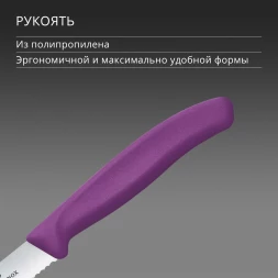 Нож кухонный Victorinox Swiss Classic (6.7835.C1) стальной столовый для томатов лезв.110мм серрейт. заточка пурпурный