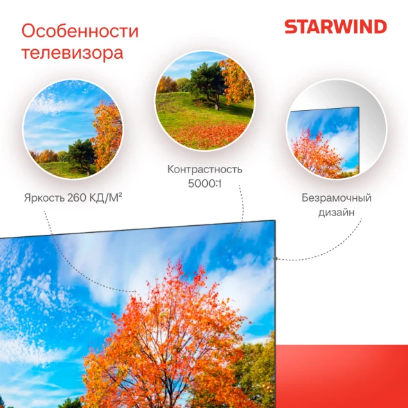 Телевизор LED Starwind 50&amp;quot; SW-LED50UG403 Яндекс.ТВ Frameless черный 4K Ultra HD 60Hz DVB-T DVB-T2 DVB-C DVB-S DVB-S2 USB WiFi Smart TV