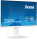 Монитор Iiyama 27&amp;quot; ProLite XUB2797QSN-W1 белый IPS LED 16:9 HDMI M/M матовая HAS Piv 1300:1 250cd 178гр/178гр 2560x1440 100Hz DP Quad HD 2K (1440p) USB 6.1кг