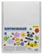 Картон белый Silwerhof белый немелованная 8л. 1цв. A4 Веселая панда 230г/м2 1диз. ПЭТ