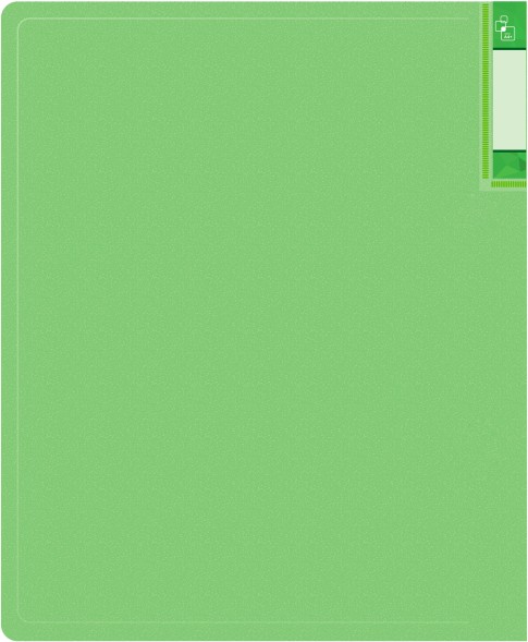 Папка с 20 прозр.вклад. Бюрократ Gems GEM20GRN A4 пластик 0.7мм торц.карм с бум. встав зеленый турмалин