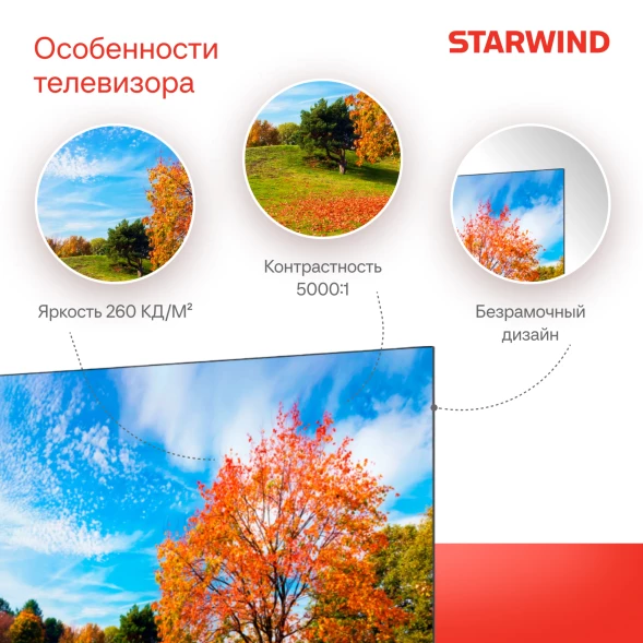 Телевизор LED Starwind 55&amp;quot; SW-LED55UG403 Яндекс.ТВ Frameless черный 4K Ultra HD 60Hz DVB-T DVB-T2 DVB-C DVB-S DVB-S2 USB WiFi Smart TV