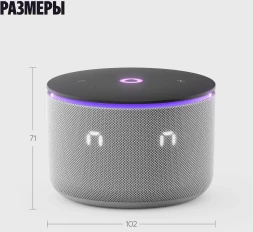 Умная колонка Yandex Станция Мини 3 Про Алиса серый 18W 1.0 BT/Wi-Fi (YNDX-00059GRY)