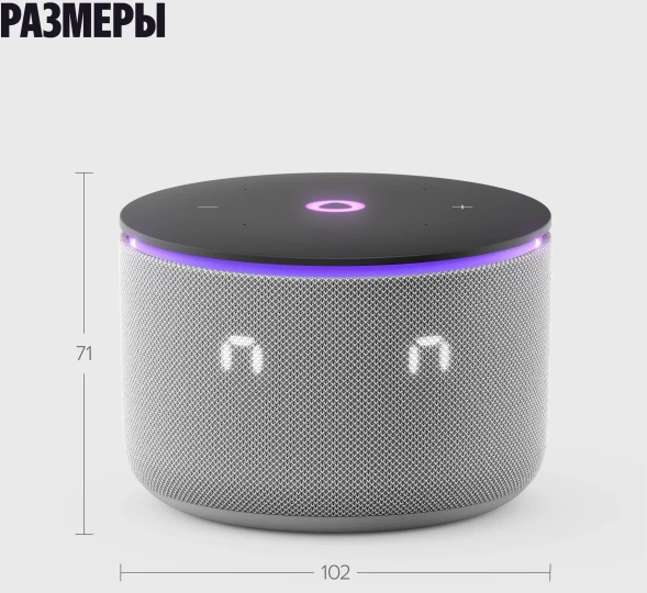 Умная колонка Yandex Станция Мини 3 Про Алиса серый 18W 1.0 BT/Wi-Fi (YNDX-00059GRY)