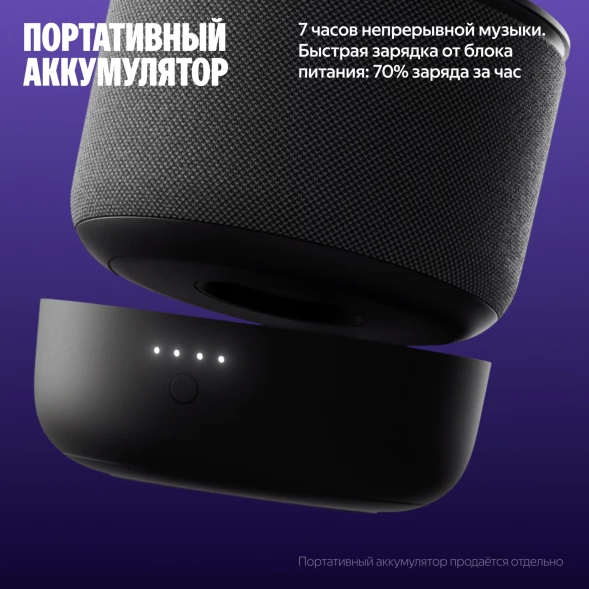 Умная колонка Yandex Станция Мини 3 Про Алиса серый 18W 1.0 BT/Wi-Fi (YNDX-00059GRY)