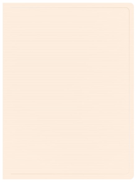 Папка с 80 прозр.вклад. Бюрократ DeLuxe DLVBOX80MILK A4 пластик 0.7мм молочный в коробе