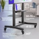 Стойка для телевизора Onkron TS1991 черный 50&amp;quot;-100&amp;quot; макс.130кг напольный наклон