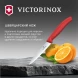 Нож кухонный Victorinox Swiss Classic (6.7701.C1) стальной универсальный для чистки овощей и фруктов лезв.100мм прямая заточка красный