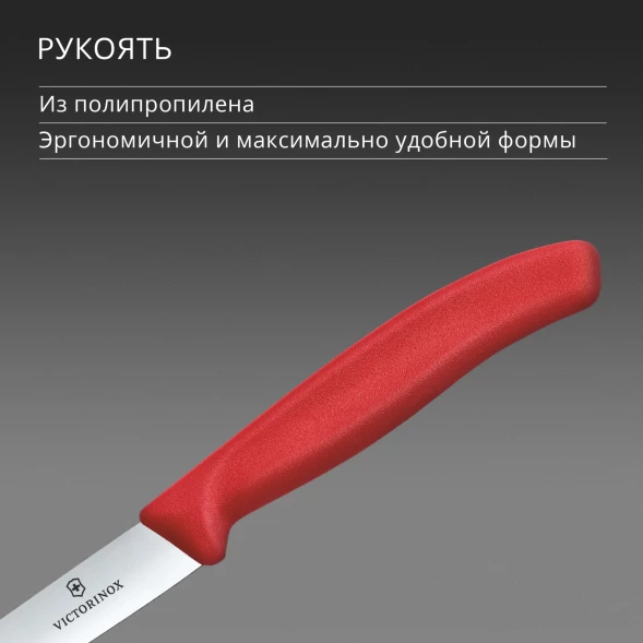 Нож кухонный Victorinox Swiss Classic (6.7701.C1) стальной универсальный для чистки овощей и фруктов лезв.100мм прямая заточка красный