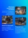 Углошлифовальная машина Bosch GWS 2200-230 RSP 2200Вт 6500об/мин рез.шпин.:M14 d=230мм (06018C1320)