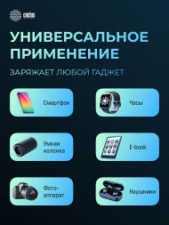 Мобильный аккумулятор Cactus CS-PBFSCA-10000 10000mAh 22.5W 4.5A 2xUSB-A/USB-C черный