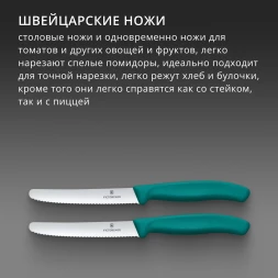 Набор ножей Victorinox Swiss Classic 6.7834.2C1 для овощей компл.:2предм. зеленый европодвес