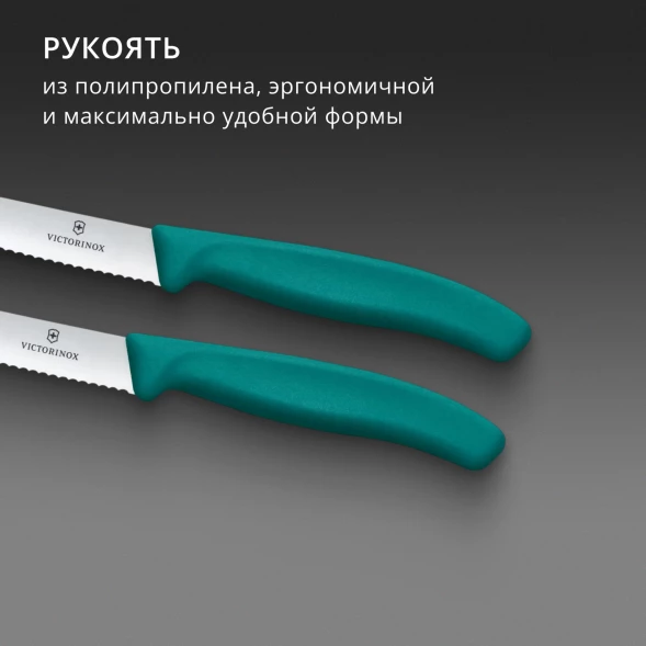 Набор ножей Victorinox Swiss Classic 6.7834.2C1 для овощей компл.:2предм. зеленый европодвес