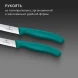 Набор ножей Victorinox Swiss Classic 6.7834.2C1 для овощей компл.:2предм. зеленый европодвес