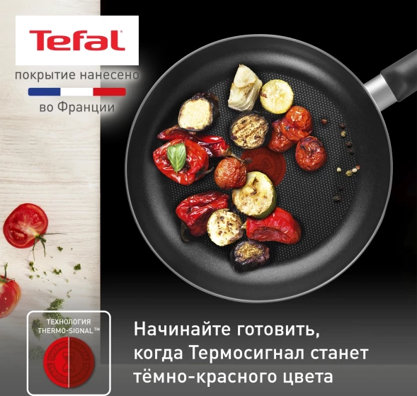 Сковорода Tefal Easy Plus 04237128 круглая 28см покрытие: Titanium ручка несъемная (без крышки) черный (9100054097)