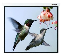 Экран Lumien 123&amp;quot; 202x280см Master Picture LMP-100117 16:9 настенно-потолочный рулонный