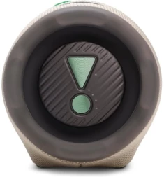 Колонка порт. JBL Charge 6 бежевый/зеленый 45W 1.0 BT 10м 4722mAh (JBLCHARGE6SAND)