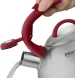 Чайник металлический Rondell Eletto RDS-1825 3л. стальной
