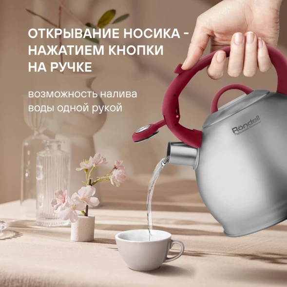 Чайник металлический Rondell Eletto RDS-1825 3л. стальной