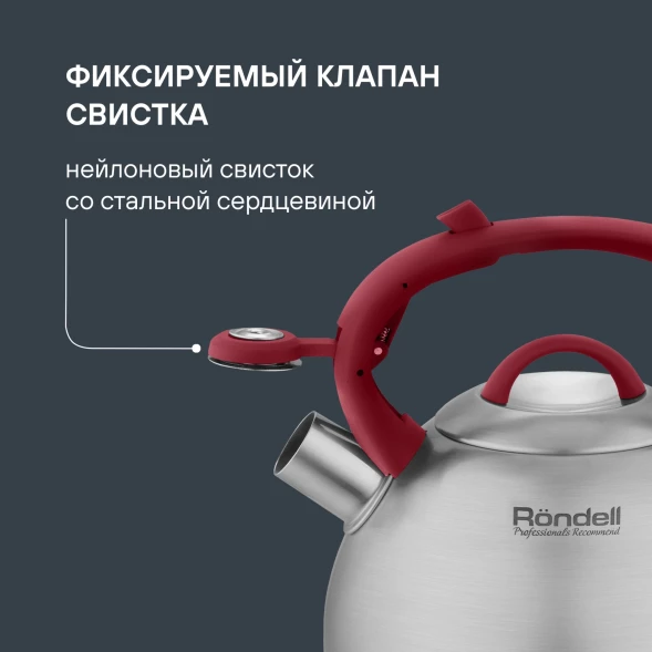 Чайник металлический Rondell Eletto RDS-1825 3л. стальной