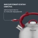 Чайник металлический Rondell Eletto RDS-1825 3л. стальной