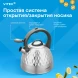 Чайник металлический Vitek Вкус жизни VT-WK1210 2.8л. стальной