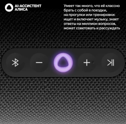 Умная колонка Yandex Стрит Алиса черный 30W 2.0 BT/Wi-Fi 10м 3300mAh (YNDX-00030BLK)