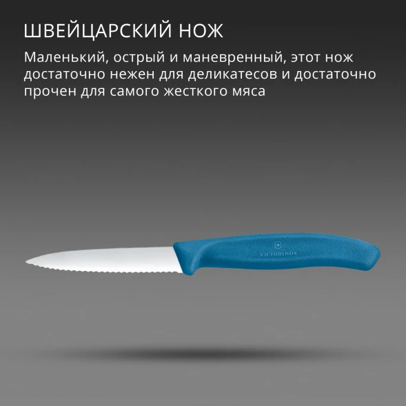Нож кухонный Victorinox Swiss Classic (6.7632.C1) стальной универсальный для чистки овощей и фруктов лезв.80мм серрейт. заточка синий