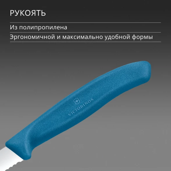 Нож кухонный Victorinox Swiss Classic (6.7632.C1) стальной универсальный для чистки овощей и фруктов лезв.80мм серрейт. заточка синий