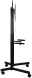 Подставка для телевизора Arm Media PT-STAND-7 черный 32&amp;quot;-80&amp;quot; макс.50кг напольный фиксированный