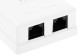 Розетка ITK CS2-1C5EU-22 настен. RJ45 2 кат.5E UTP бел. (упак.:1шт)