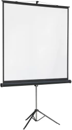 Экран на треноге Lumien 131" 244x244см Master View LMV-100105 1:1 напольный рулонный