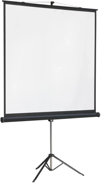 Экран на треноге Lumien 131&amp;quot; 244x244см Master View LMV-100105 1:1 напольный рулонный