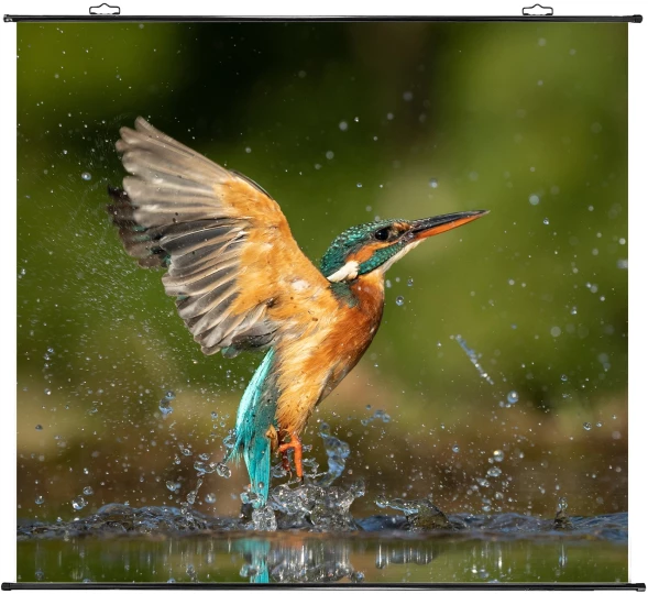 Экран Cactus 150x150см Map type CS-PSRM-150x150-BK 1:1 настенно-потолочный рулонный черный