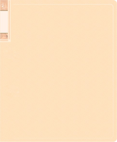 Папка с 40 прозр.вклад. Бюрократ Gems GEM40CREAM A4 пластик 0.7мм торц.карм с бум. встав кремовый жемчуг