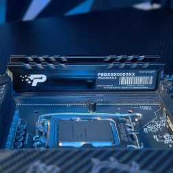 Память DDR5 8GB 5200MHz Patriot PSP58G520081H1 Signature Premium RTL PC5-41600 CL42 DIMM 288-pin 1.1В single rank с радиатором Ret