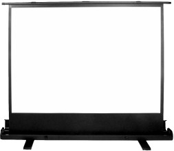 Экран Cactus 120x160см FloorExpert CS-PSFLE-160X120 4:3 напольный рулонный