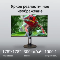 Монитор Digma 27&amp;quot; Progress 27P505F черный IPS LED 16:9 HDMI M/M матовая HAS Piv 300cd 178гр/178гр 1920x1080 75Hz G-Sync FreeSync DP FHD 4.3кг