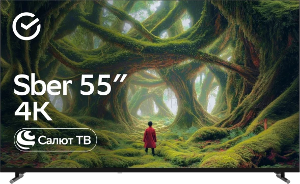 Телевизор LED Sber 55&amp;quot; SDX-55U4139 Салют ТВ Frameless черный 4K Ultra HD 60Hz DVB-T DVB-T2 DVB-C DVB-S DVB-S2 USB WiFi Smart TV
